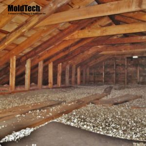 Why DIY Attic Mold Removal in Vaughan is a Risky Move