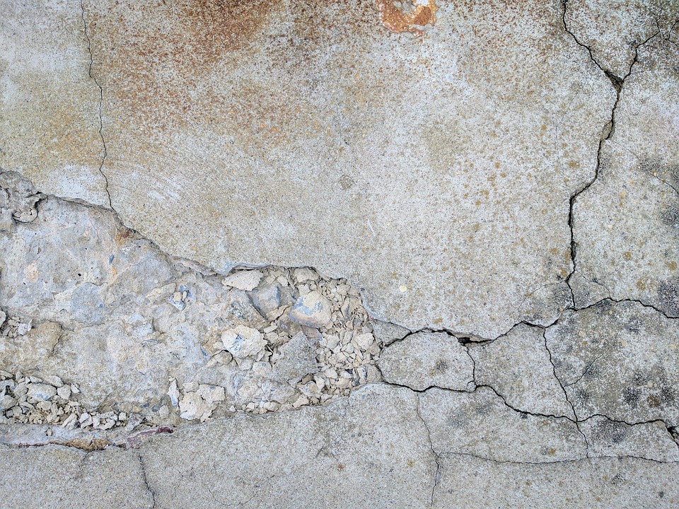 Concrete mold growth in Toronto