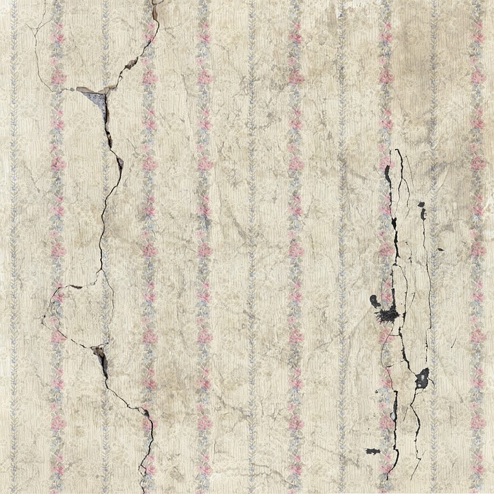 Condo Mold Growth in Toronto